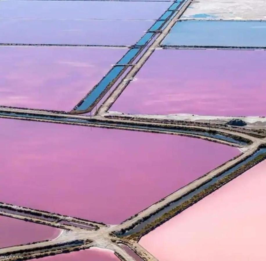 Le soupir des palmiers. Idéal couple, piscine, mer La Grande-Motte Exterior foto